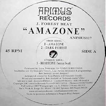 Amazon.co.jp: Amazone-12